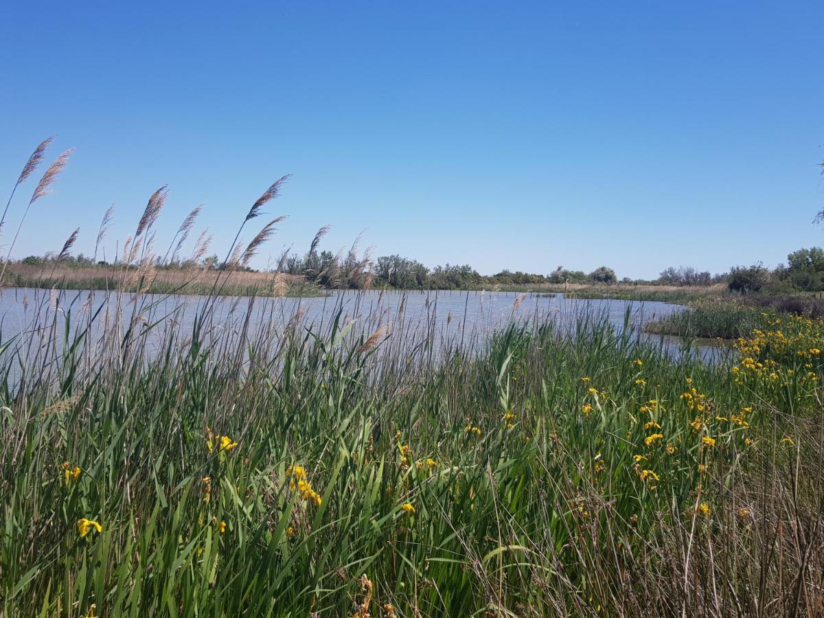 Le Mas De Mon Pere Saintes-Maries-de-la-Mer Luaran gambar